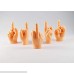 Daily Portable LLC Tiny Hands Middle Finger Sign 5 Pack MFU Style Mini Hand Puppet B07HR4XFCJ
